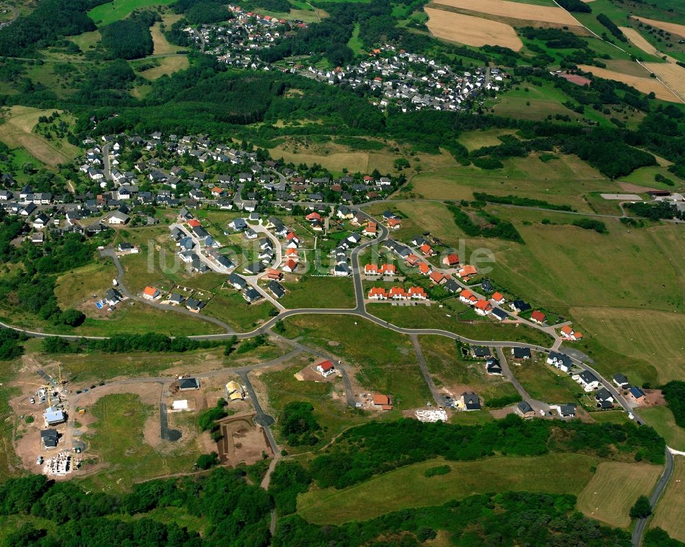 Regulshausen aus der Vogelperspektive: Dorf - Ansicht am Rande Waldgebieten in Regulshausen im Bundesland Rheinland-Pfalz, Deutschland