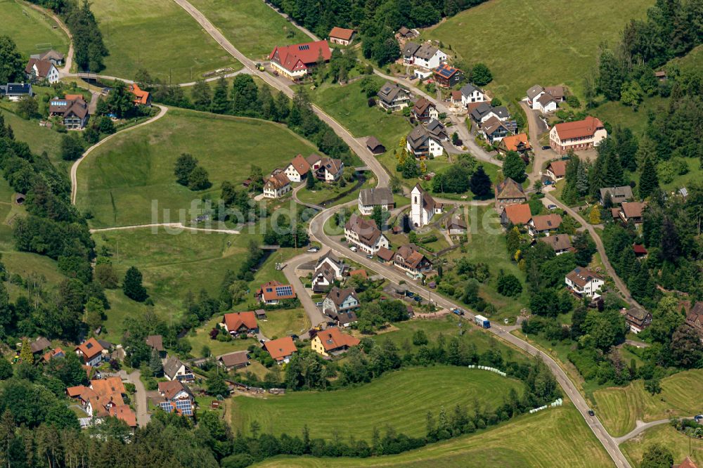 Reinerzau von oben - Dorf - Ansicht am Rande Waldgebieten in Reinerzau Ortsteil von Alpiersbach im Bundesland Baden-Württemberg, Deutschland