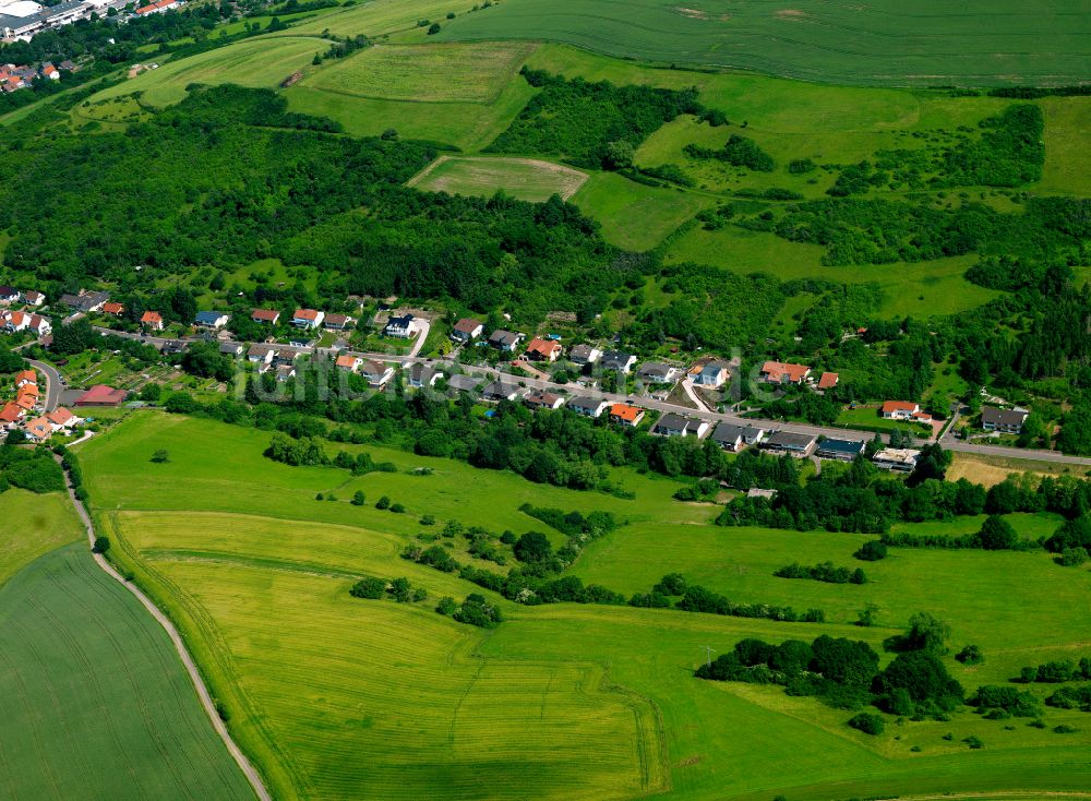 Luftbild Rockenhausen - Dorf - Ansicht am Rande von Waldgebieten in Rockenhausen im Bundesland Rheinland-Pfalz, Deutschland
