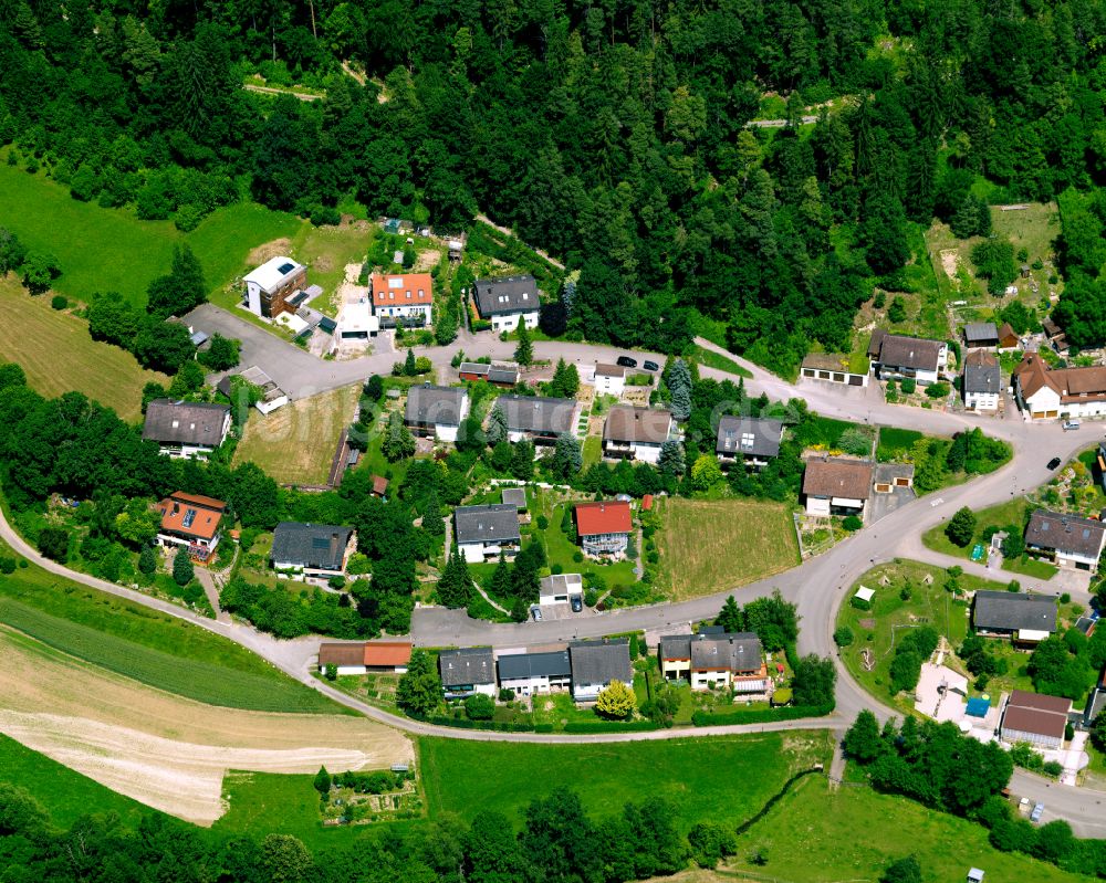 Luftaufnahme Rottenburg am Neckar - Dorf - Ansicht am Rande von Waldgebieten in Rottenburg am Neckar im Bundesland Baden-Württemberg, Deutschland