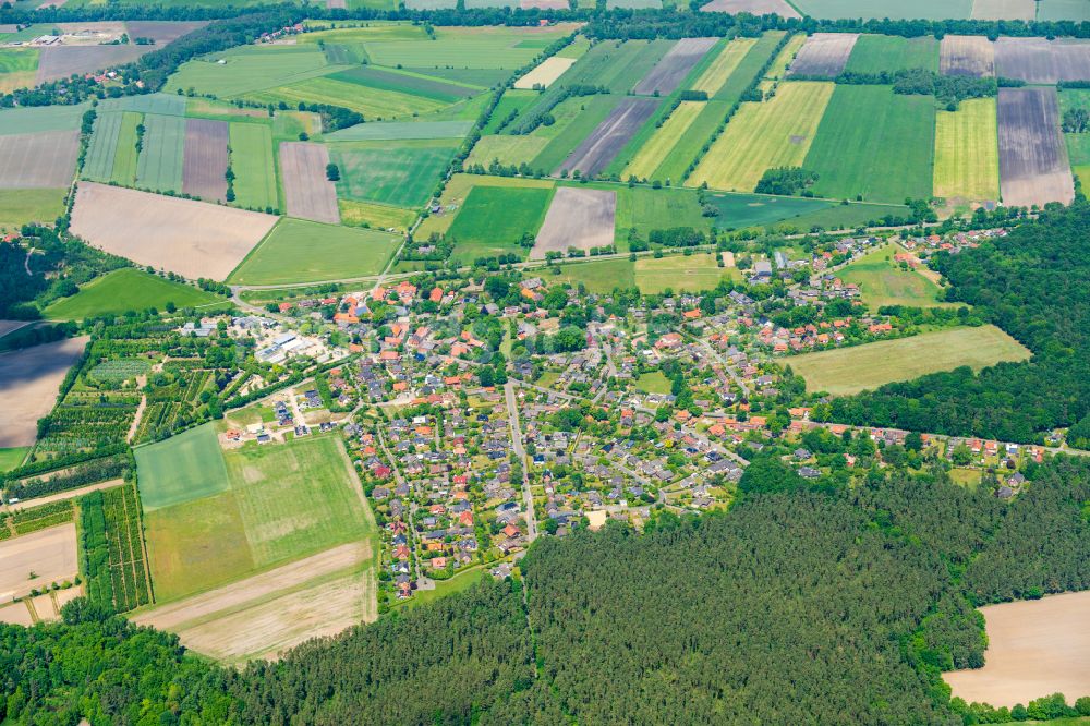 Luftaufnahme Rullstorf - Dorf - Ansicht am Rande von Waldgebieten in Rullstorf im Bundesland Niedersachsen, Deutschland