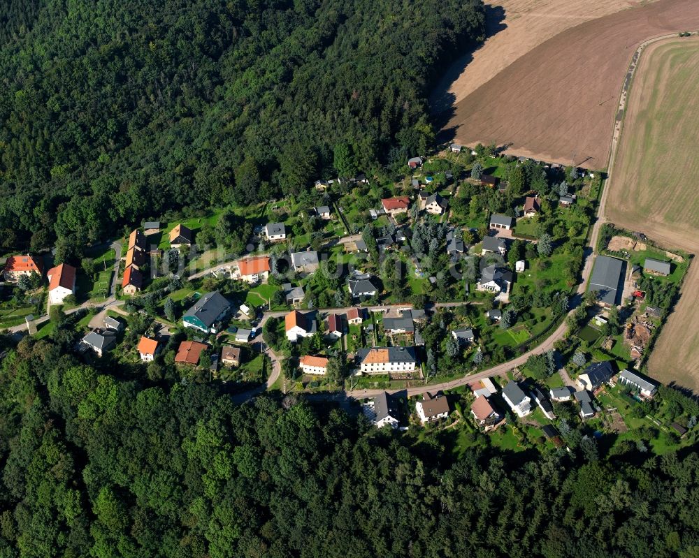 Sachsenburg aus der Vogelperspektive: Dorf - Ansicht am Rande Waldgebieten in Sachsenburg im Bundesland Sachsen, Deutschland