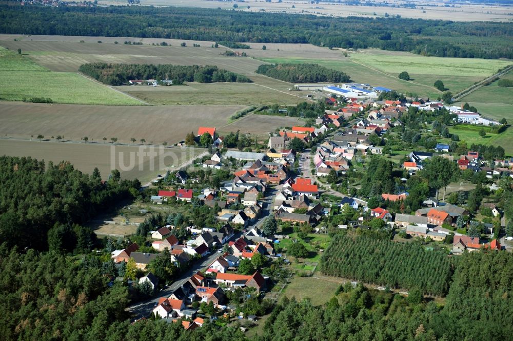 Schleesen aus der Vogelperspektive: Dorf - Ansicht am Rande Waldgebieten in Schleesen im Bundesland Sachsen-Anhalt, Deutschland