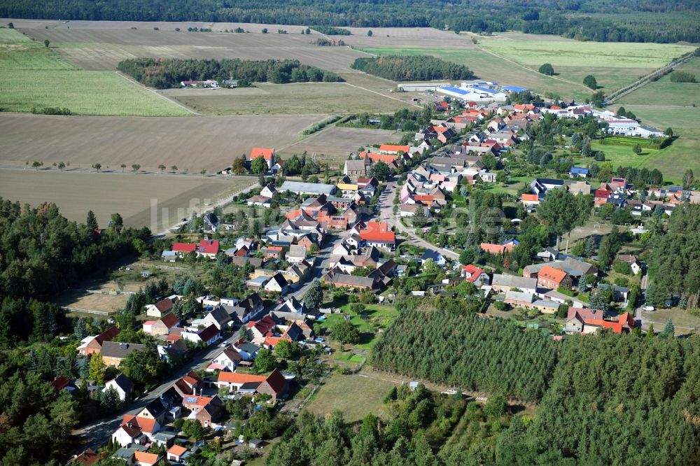 Luftbild Schleesen - Dorf - Ansicht am Rande Waldgebieten in Schleesen im Bundesland Sachsen-Anhalt, Deutschland