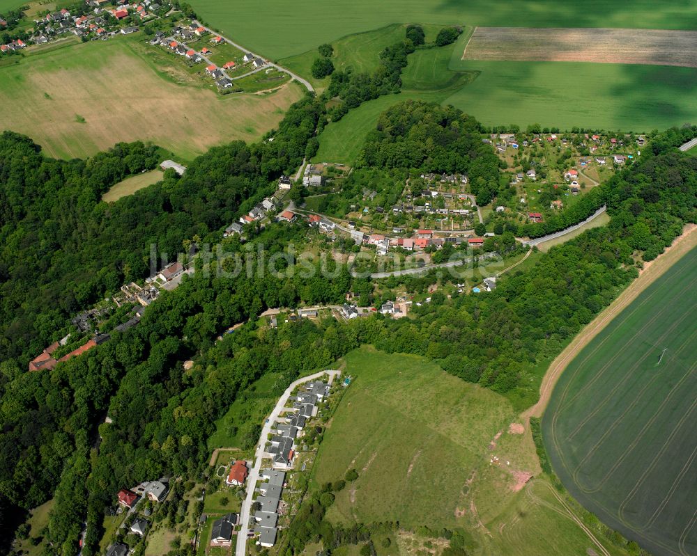 Schloßberg von oben - Dorf - Ansicht am Rande von Waldgebieten in Schloßberg im Bundesland Thüringen, Deutschland