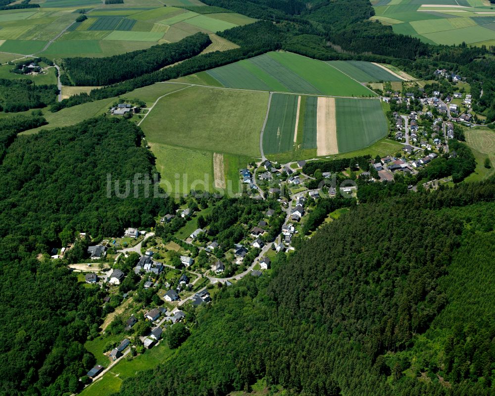Schnellbach aus der Vogelperspektive: Dorf - Ansicht am Rande von Waldgebieten in Schnellbach im Bundesland Rheinland-Pfalz, Deutschland
