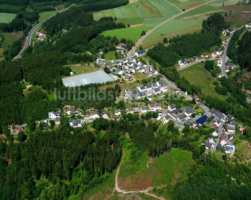 Schwarzenstein aus der Vogelperspektive: Dorf - Ansicht am Rande von Waldgebieten in Schwarzenstein im Bundesland Bayern, Deutschland