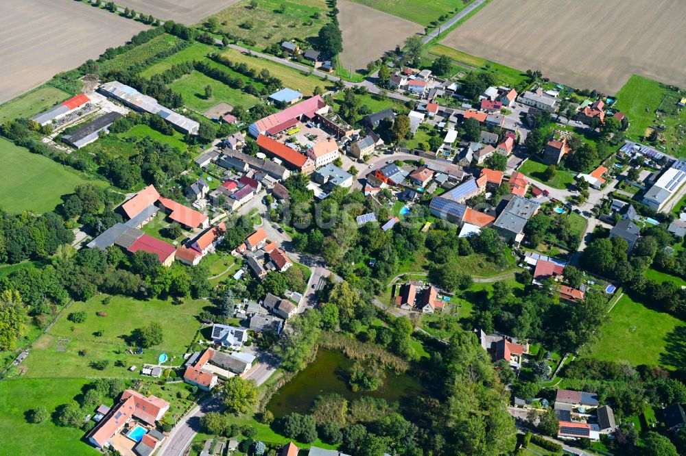 Schwerz aus der Vogelperspektive: Dorf - Ansicht am Rande von Waldgebieten in Schwerz im Bundesland Sachsen-Anhalt, Deutschland