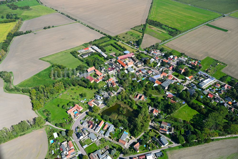 Luftbild Schwerz - Dorf - Ansicht am Rande von Waldgebieten in Schwerz im Bundesland Sachsen-Anhalt, Deutschland