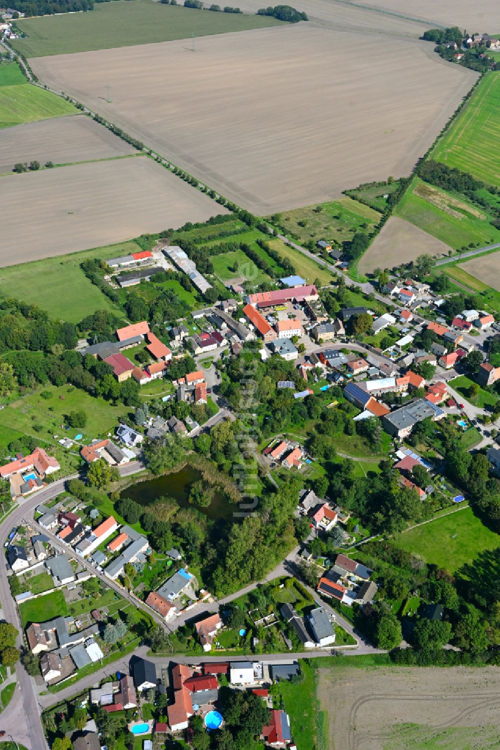 Luftaufnahme Schwerz - Dorf - Ansicht am Rande von Waldgebieten in Schwerz im Bundesland Sachsen-Anhalt, Deutschland