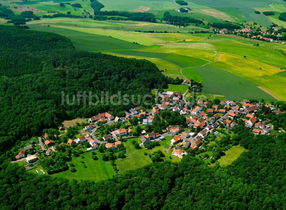 Luftbild Stahlberg - Dorf - Ansicht am Rande von Waldgebieten in Stahlberg im Bundesland Rheinland-Pfalz, Deutschland
