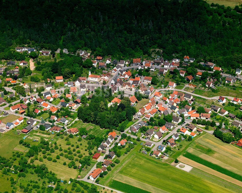 Luftaufnahme Starzach - Dorf - Ansicht am Rande von Waldgebieten in Starzach im Bundesland Baden-Württemberg, Deutschland