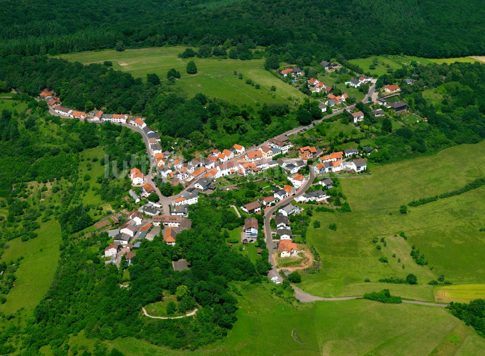 Stauf von oben - Dorf - Ansicht am Rande von Waldgebieten in Stauf im Bundesland Rheinland-Pfalz, Deutschland