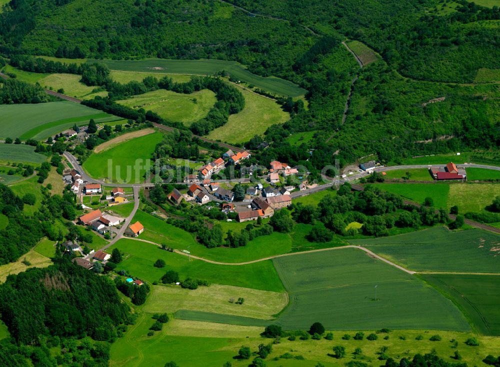 Steckweiler von oben - Dorf - Ansicht am Rande von Waldgebieten in Steckweiler im Bundesland Rheinland-Pfalz, Deutschland