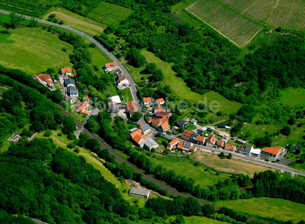 Luftbild Steingruben - Dorf - Ansicht am Rande von Waldgebieten in Steingruben im Bundesland Rheinland-Pfalz, Deutschland