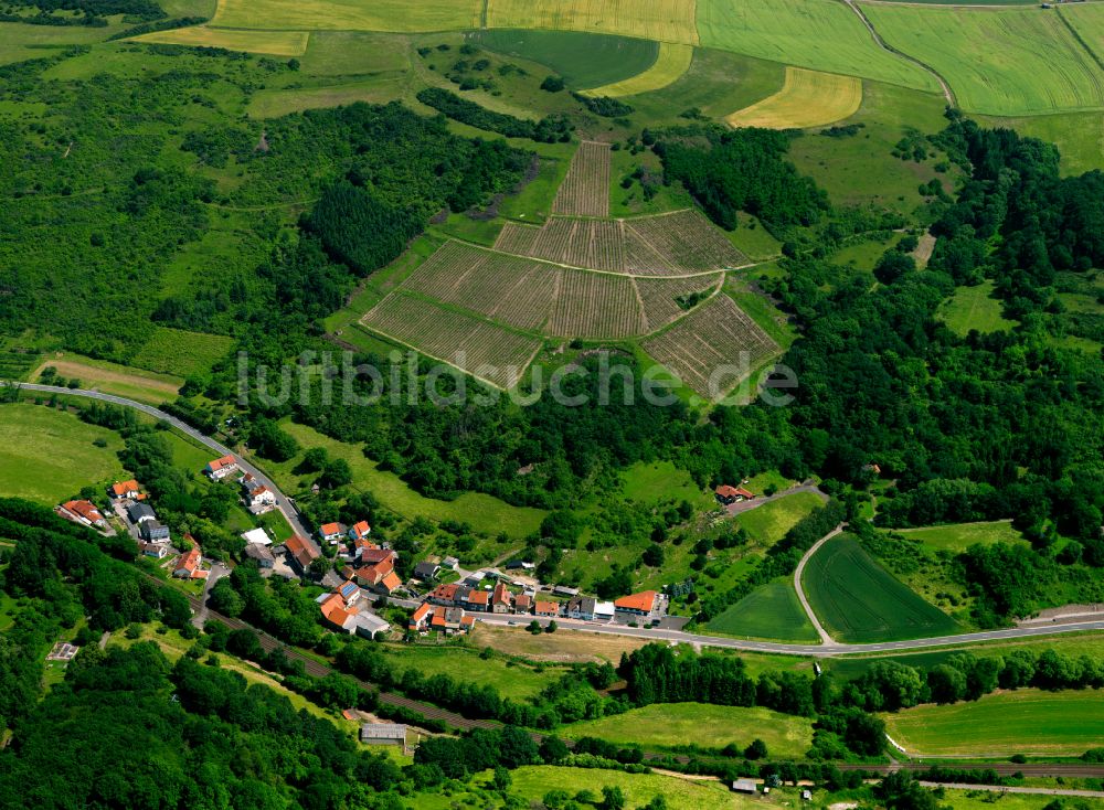 Luftaufnahme Steingruben - Dorf - Ansicht am Rande von Waldgebieten in Steingruben im Bundesland Rheinland-Pfalz, Deutschland