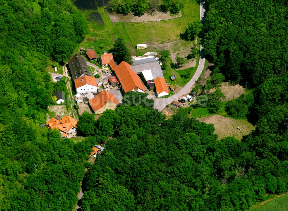 Stolzenbergerhof von oben - Dorf - Ansicht am Rande von Waldgebieten in Stolzenbergerhof im Bundesland Rheinland-Pfalz, Deutschland