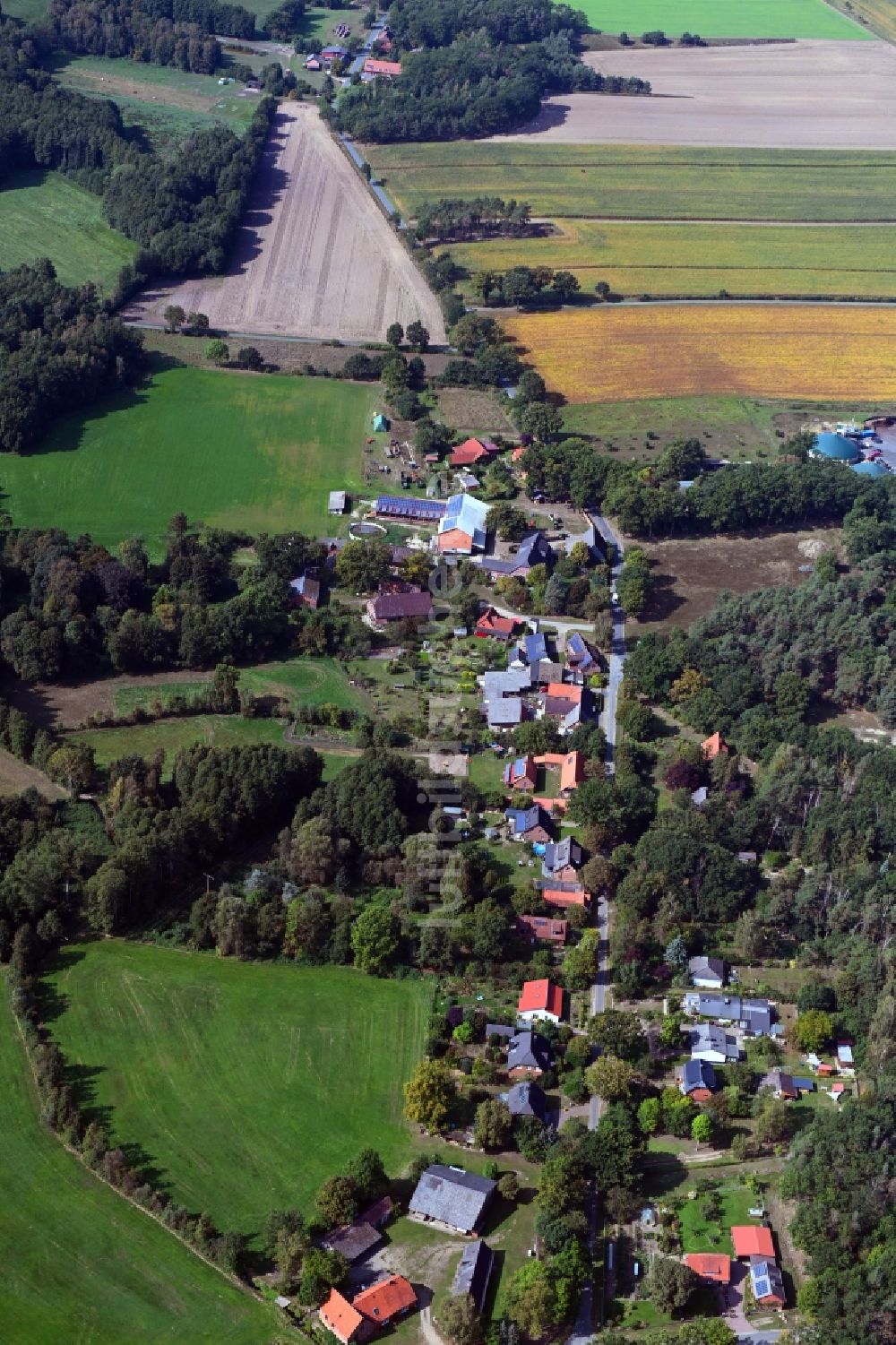 Volkfien von oben - Dorf - Ansicht am Rande Waldgebieten in Volkfien im Bundesland Niedersachsen, Deutschland