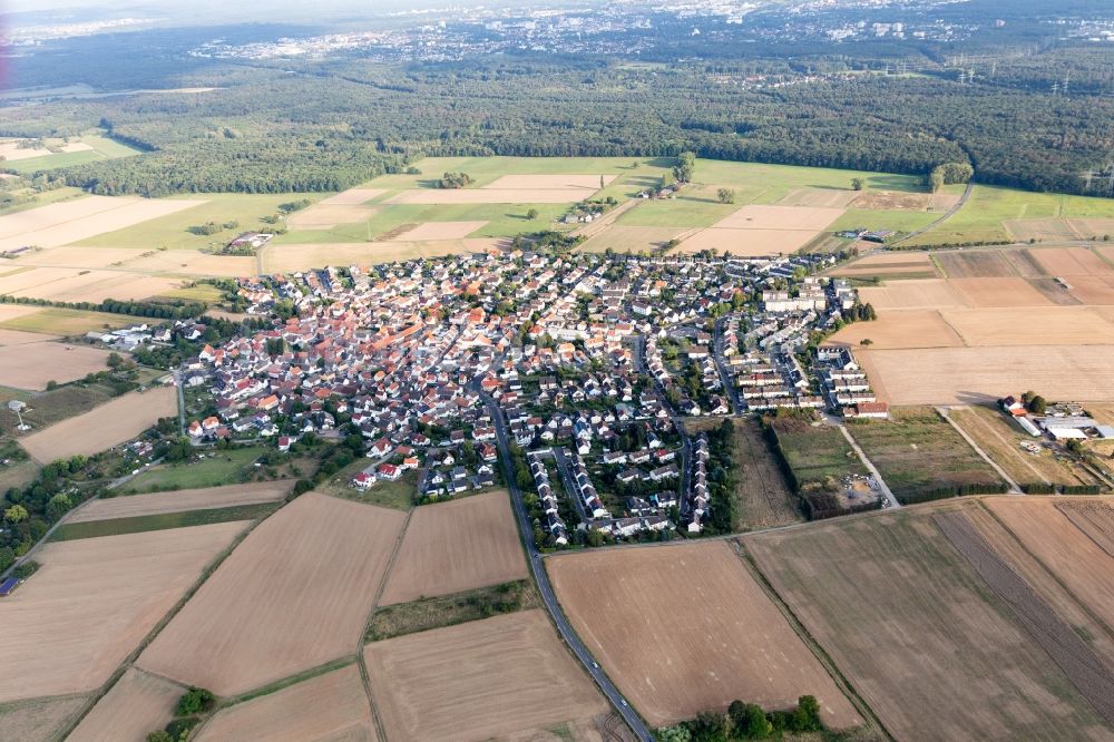 Luftbild Wachenbuchen - Dorf - Ansicht am Rande Waldgebieten in Wachenbuchen im Bundesland Hessen, Deutschland