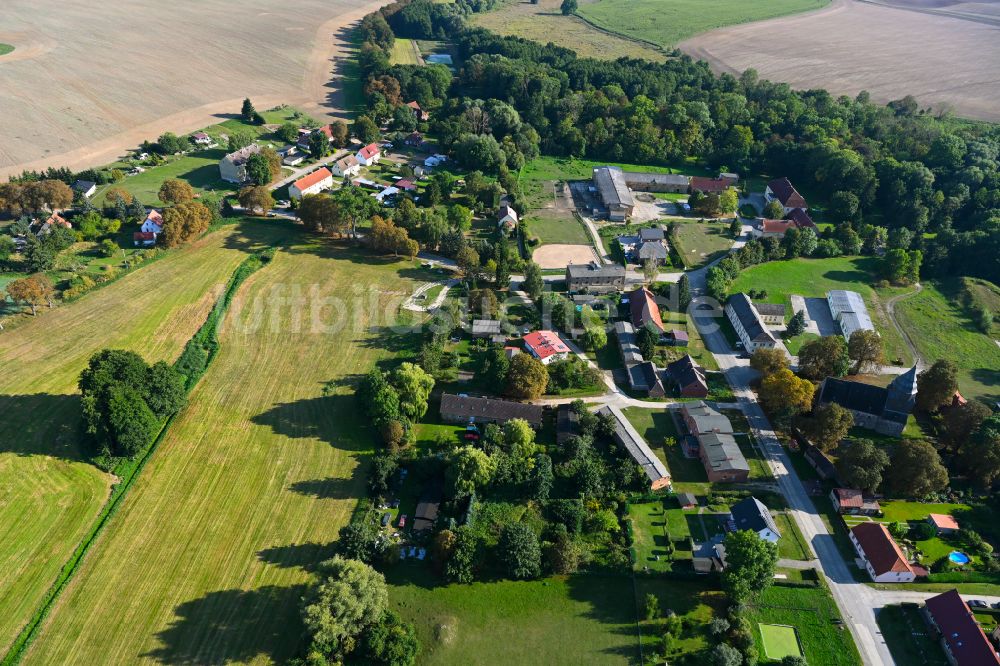 Wilsickow von oben - Dorf - Ansicht am Rande von Waldgebieten in Wilsickow im Bundesland Brandenburg, Deutschland