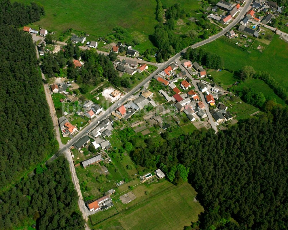Luftbild Wörpen - Dorf - Ansicht am Rande Waldgebieten in Wörpen im Bundesland Sachsen-Anhalt, Deutschland