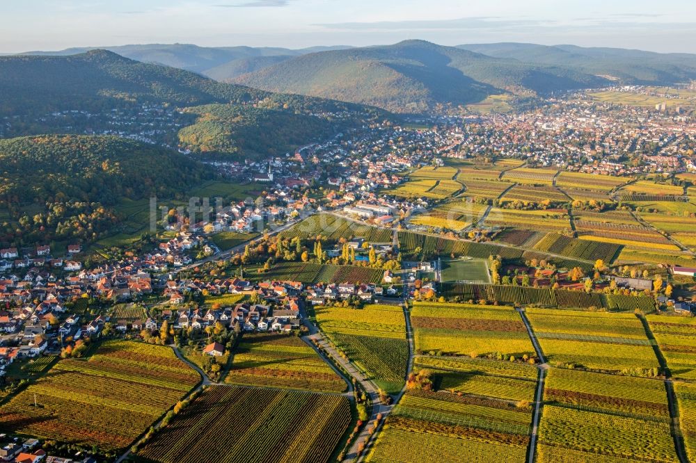 Luftaufnahme Neustadt an der Weinstraße - Dorf - Ansicht am Rande von Weinbergen im Ortsteil Hambach in Neustadt an der Weinstraße im Bundesland Rheinland-Pfalz, Deutschland