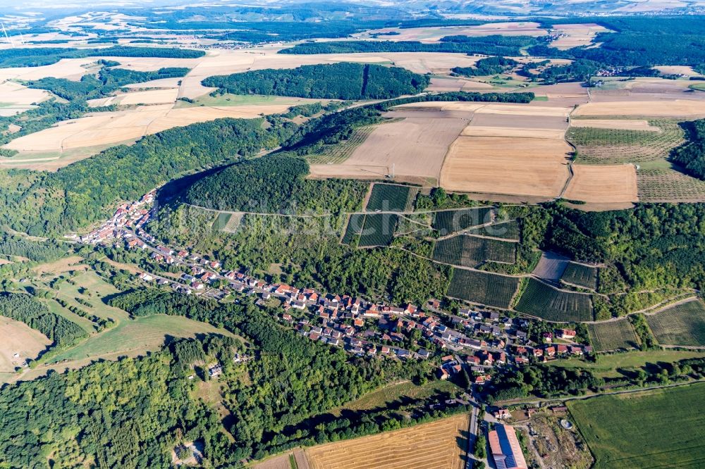Luftaufnahme Raumbach - Dorf - Ansicht am Rande von Weinber4gen in Raumbach im Bundesland Rheinland-Pfalz, Deutschland