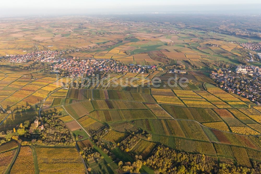 Luftbild Schweigen - Dorf - Ansicht am Rande von Weinbergen des Sonnenberg in Schweigen im Bundesland Rheinland-Pfalz, Deutschland