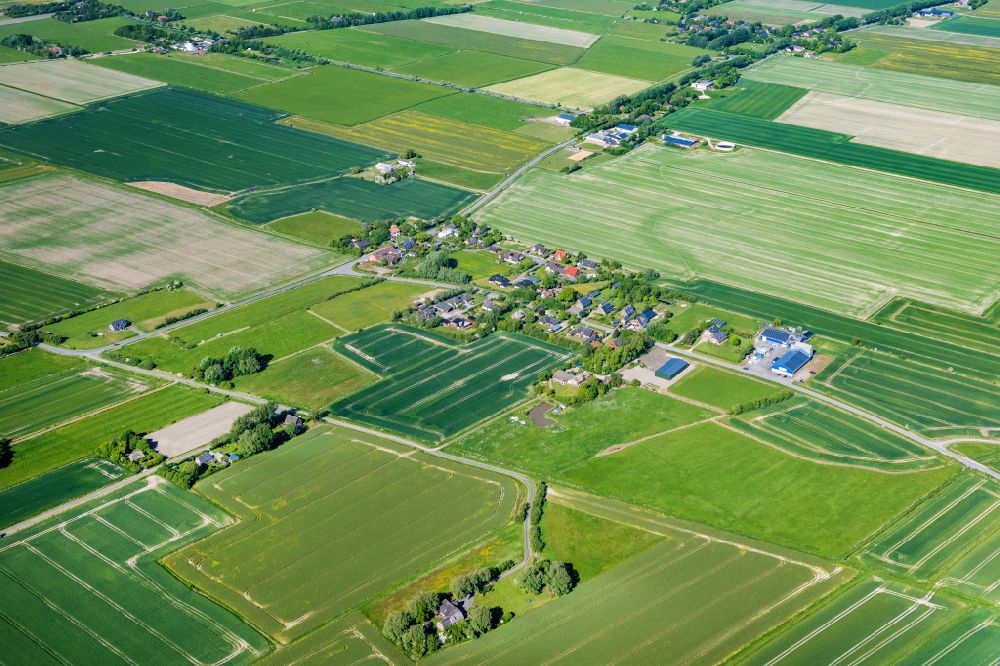 Luftaufnahme Rodenäs - Dorf - Ansicht in Rodenäs im Bundesland Schleswig-Holstein, Deutschland