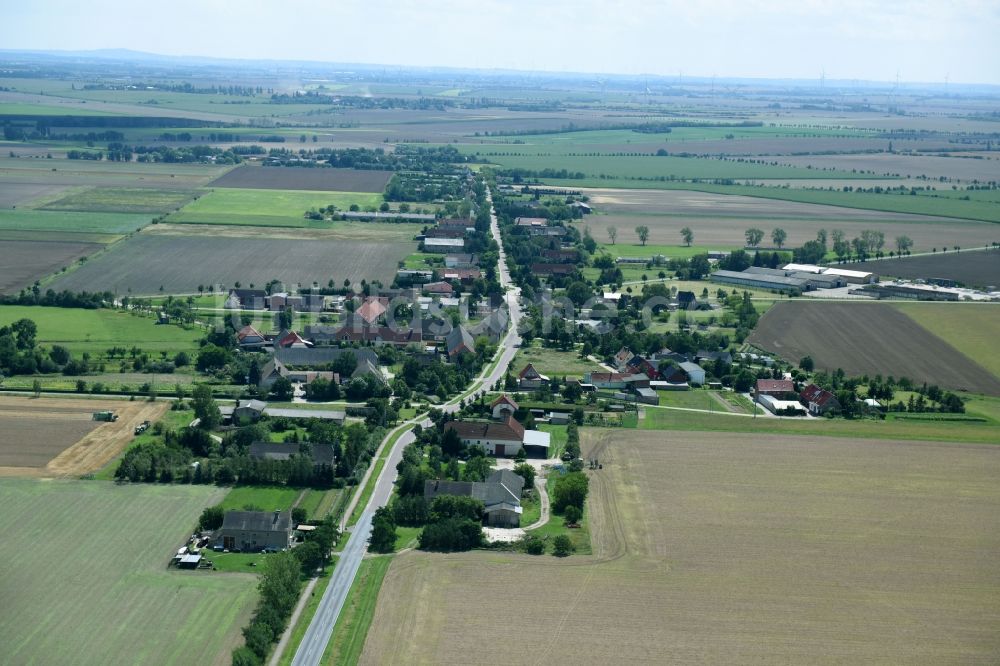 Sachsendorf aus der Vogelperspektive: Dorf - Ansicht in Sachsendorf im Bundesland Sachsen-Anhalt, Deutschland