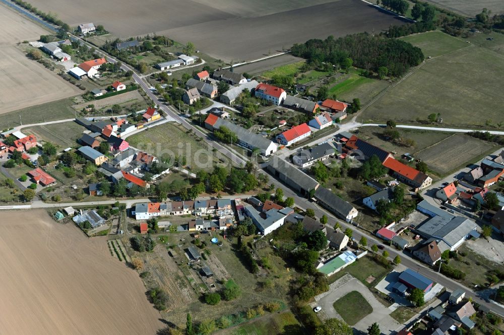 Sachsendorf von oben - Dorf - Ansicht in Sachsendorf im Bundesland Sachsen-Anhalt, Deutschland