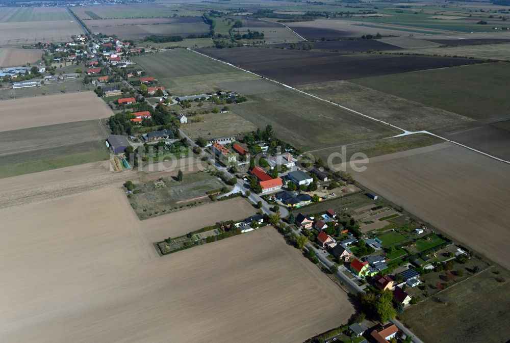 Luftbild Sachsendorf - Dorf - Ansicht in Sachsendorf im Bundesland Sachsen-Anhalt, Deutschland