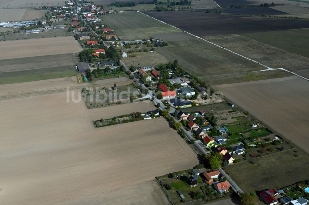 Luftaufnahme Sachsendorf - Dorf - Ansicht in Sachsendorf im Bundesland Sachsen-Anhalt, Deutschland
