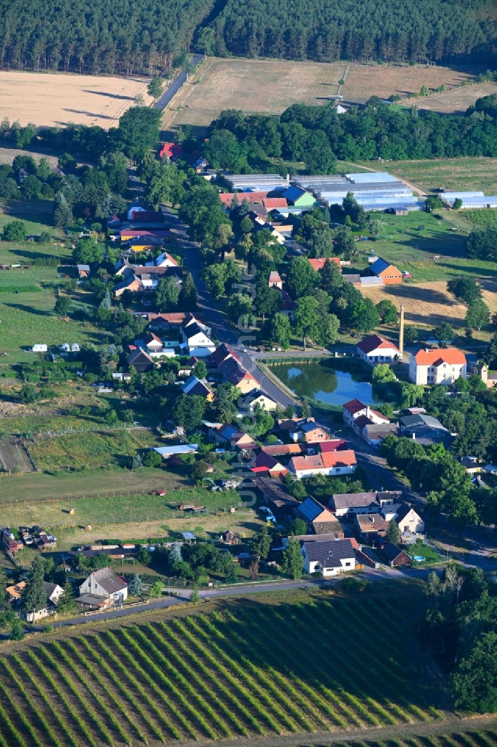 Luftbild Schenkendorf - Dorf - Ansicht in Schenkendorf im Bundesland Brandenburg, Deutschland