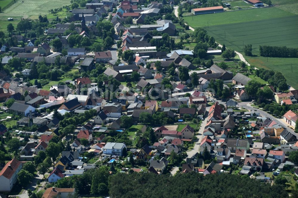 Luftaufnahme Steutz - Dorf - Ansicht von Steutz im Bundesland Sachsen-Anhalt