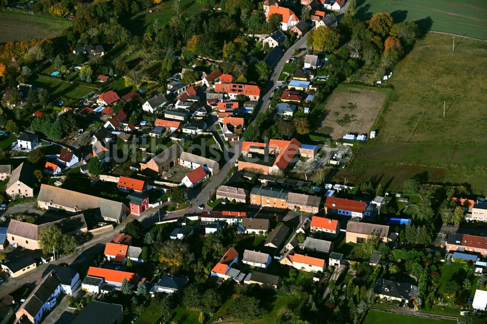 Luftbild Trebnitz - Dorf - Ansicht in Trebnitz im Bundesland Sachsen-Anhalt, Deutschland
