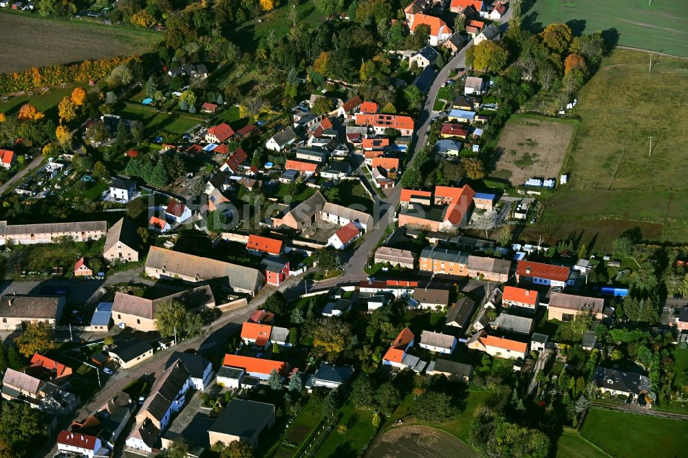 Luftaufnahme Trebnitz - Dorf - Ansicht in Trebnitz im Bundesland Sachsen-Anhalt, Deutschland
