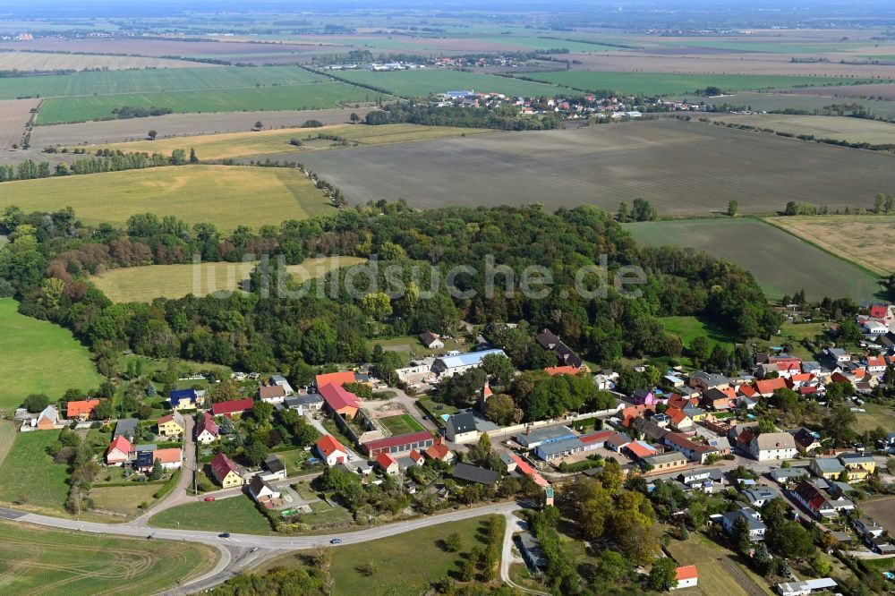 Trinum aus der Vogelperspektive: Dorf - Ansicht in Trinum im Bundesland Sachsen-Anhalt, Deutschland
