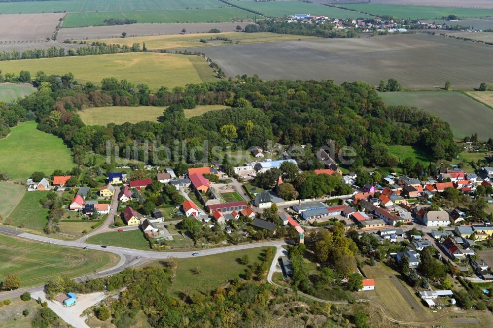 Luftbild Trinum - Dorf - Ansicht in Trinum im Bundesland Sachsen-Anhalt, Deutschland