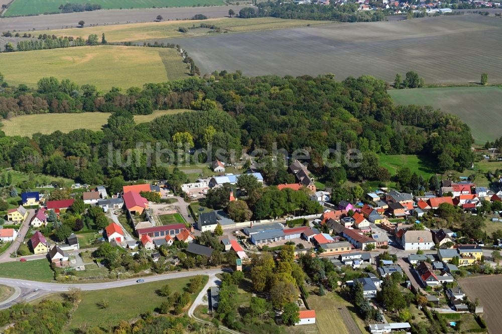 Luftaufnahme Trinum - Dorf - Ansicht in Trinum im Bundesland Sachsen-Anhalt, Deutschland