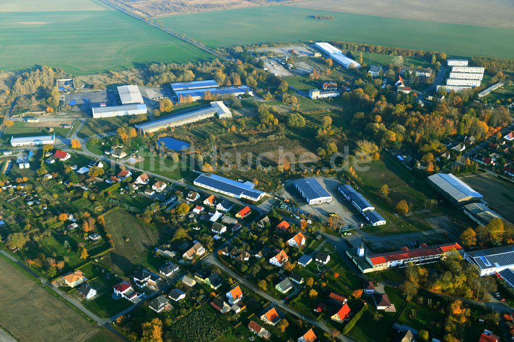 Trinwillershagen aus der Vogelperspektive: Dorf - Ansicht in Trinwillershagen im Bundesland Mecklenburg-Vorpommern, Deutschland