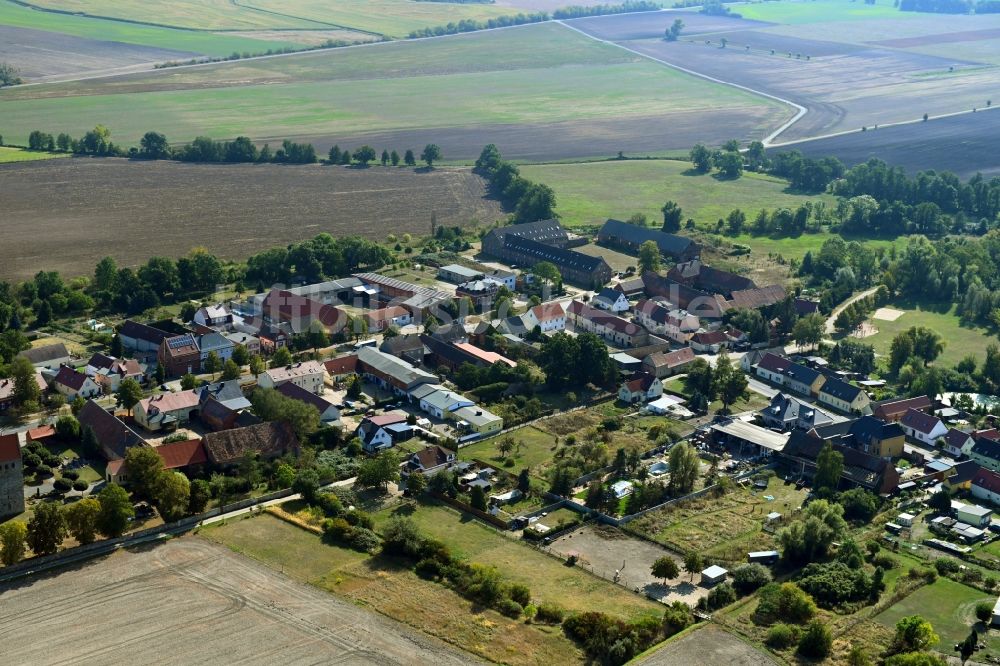 Luftaufnahme Vehlitz - Dorf - Ansicht in Vehlitz im Bundesland Sachsen-Anhalt, Deutschland