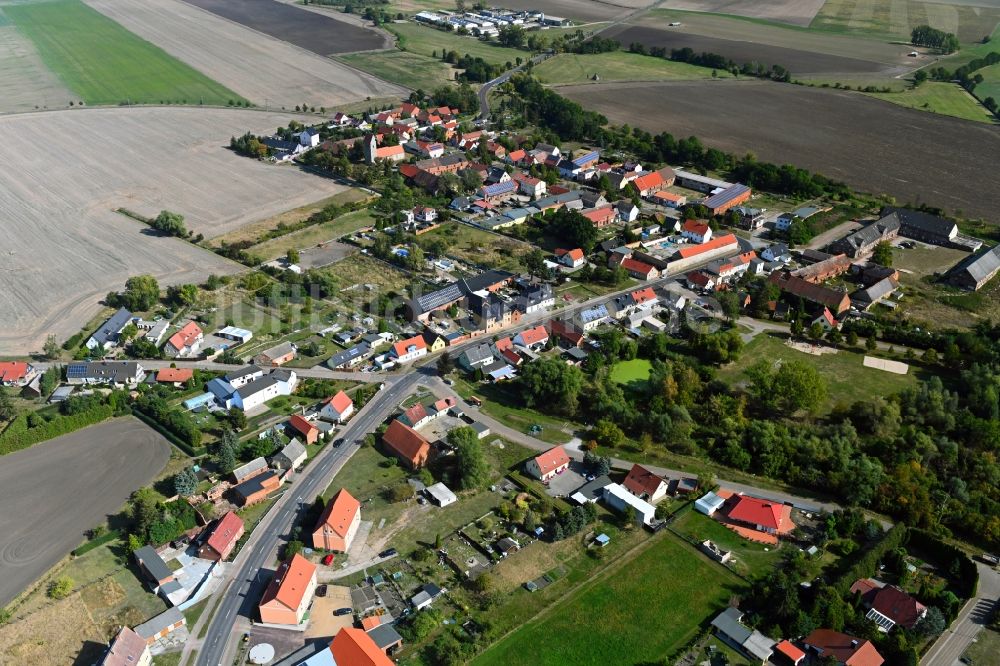 Luftbild Vehlitz - Dorf - Ansicht in Vehlitz im Bundesland Sachsen-Anhalt, Deutschland