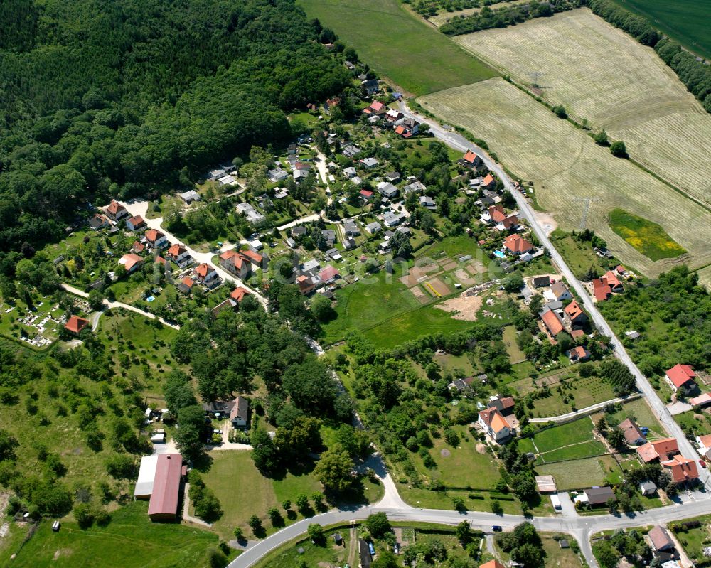 Luftaufnahme Wienrode - Dorf - Ansicht in Wienrode im Bundesland Sachsen-Anhalt, Deutschland