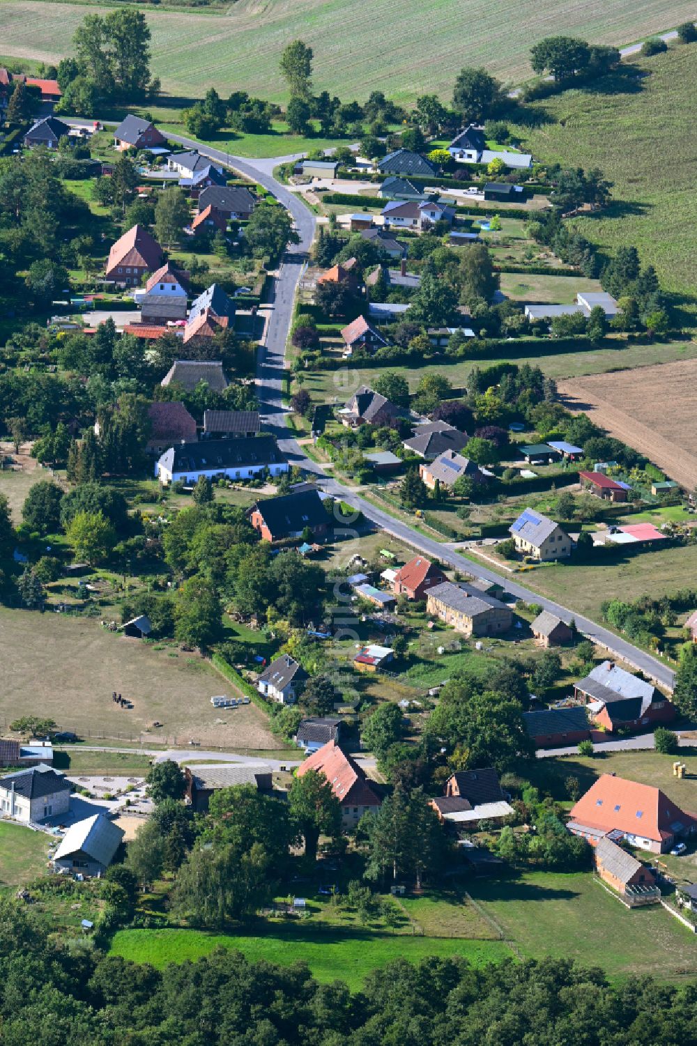 Radelübbe von oben - Dorfansicht entlang der Ringstraße in Radelübbe im Bundesland Mecklenburg-Vorpommern, Deutschland