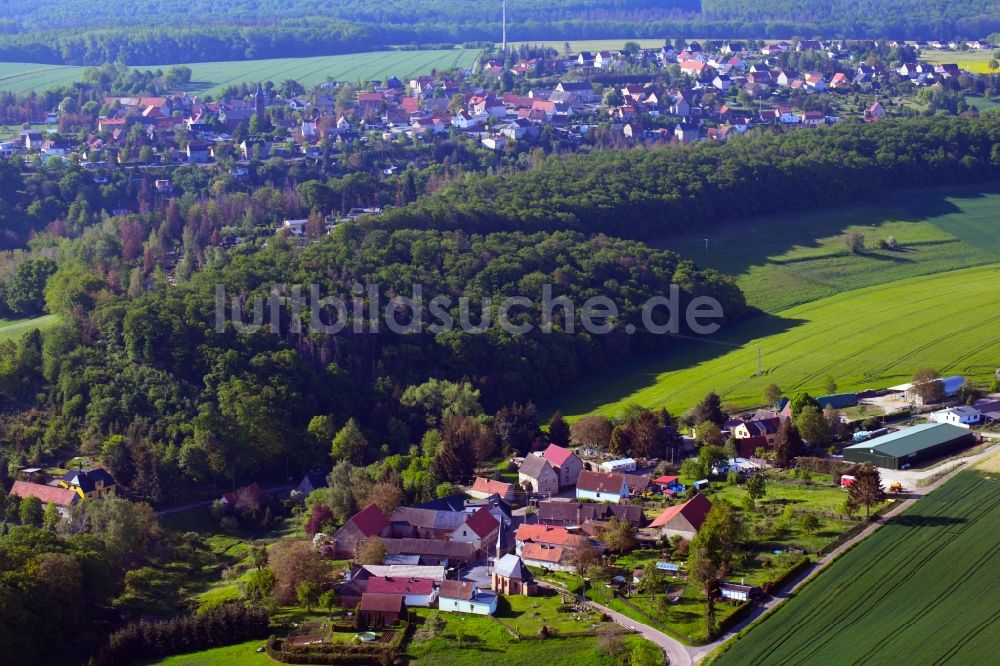 Luftaufnahme Blumerode - Dorfansicht mit Feldern und Wald in Blumerode im Bundesland Sachsen-Anhalt, Deutschland
