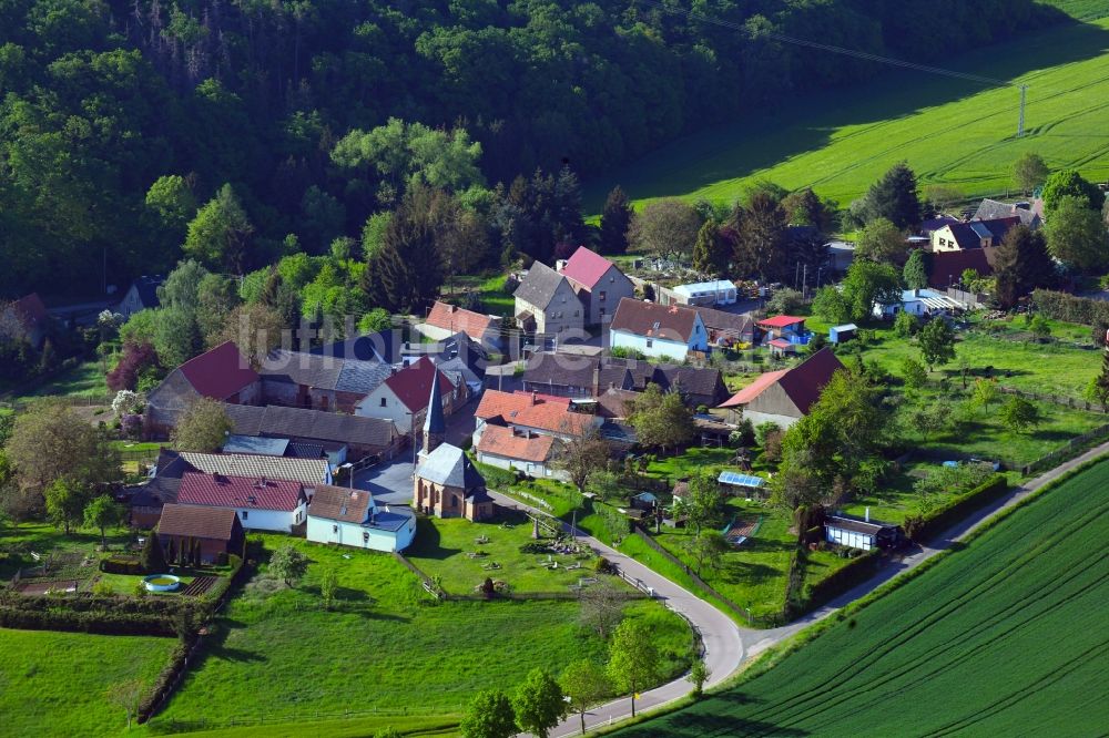 Blumerode von oben - Dorfansicht mit Feldern und Wald in Blumerode im Bundesland Sachsen-Anhalt, Deutschland