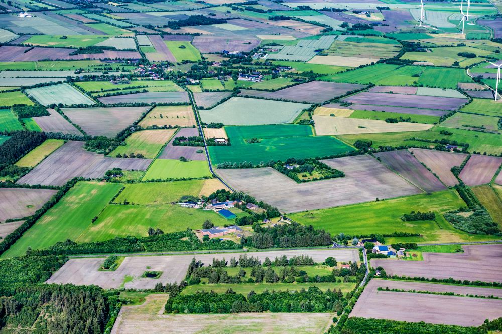 Luftaufnahme Lexgaard - Dorfansicht am Feldrand in Lexgaard im Bundesland Schleswig-Holstein, Deutschland