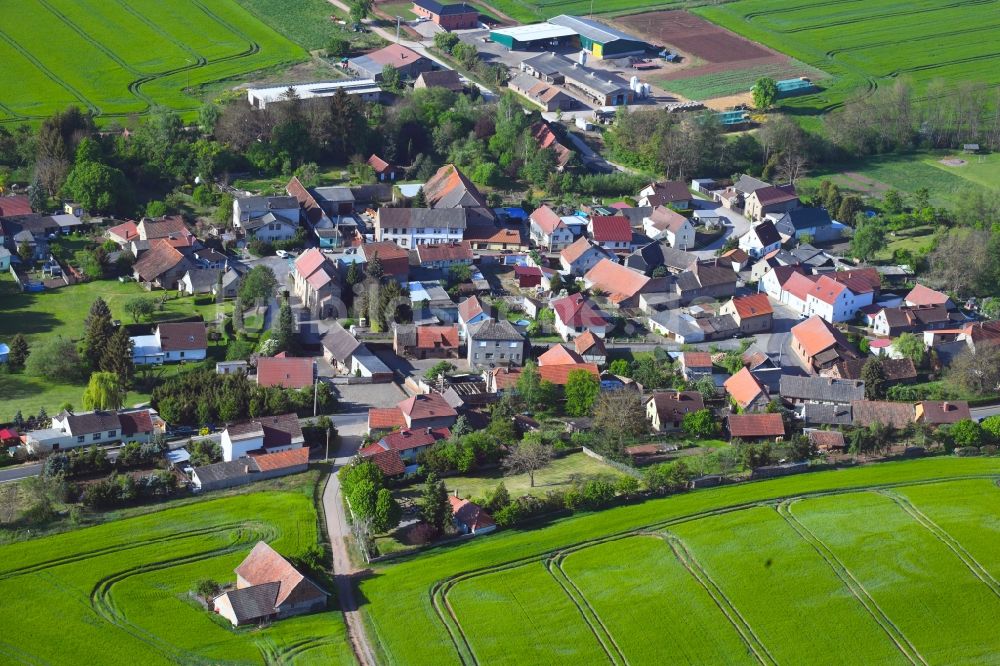 Luftbild Kleinleinungen - Dorfansicht in Kleinleinungen im Bundesland Sachsen-Anhalt, Deutschland