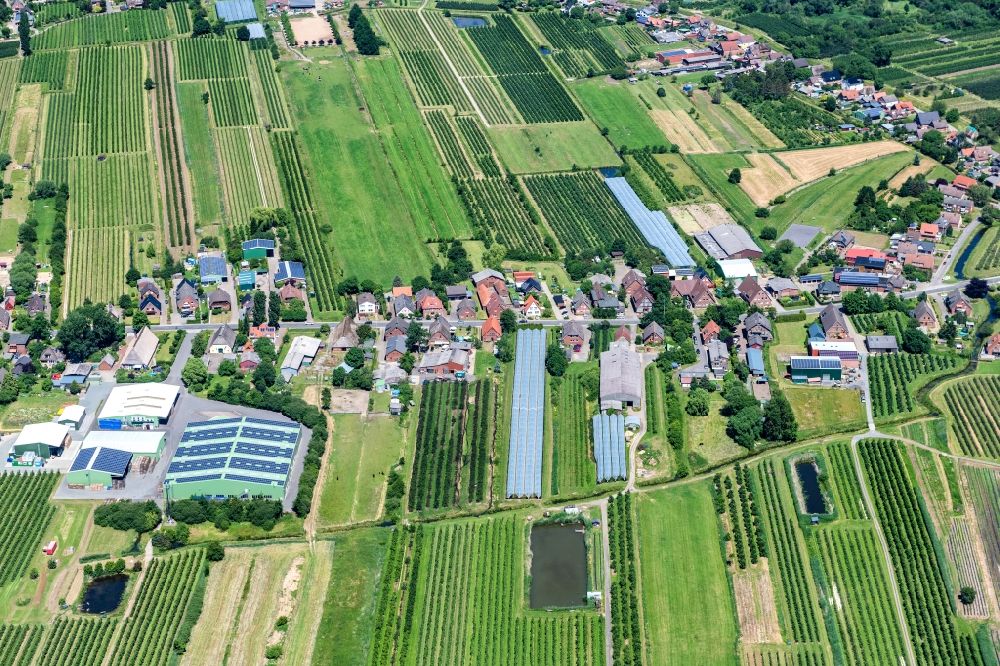 Luftbild Neuenfelde - Dorfansicht im Obstanbaugebiet Altes Land in Neuenfelde im Bundesland Hamburg, Deutschland